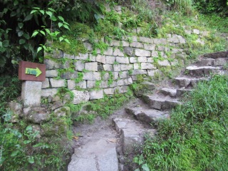 Das sind die schönen stufen, die uns über 2 Stunden treu begleitet haben.
